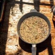 Brezenknödel mit Rahmschwammerl, Pilze, Pilzpfanne, Brezel, Knödel