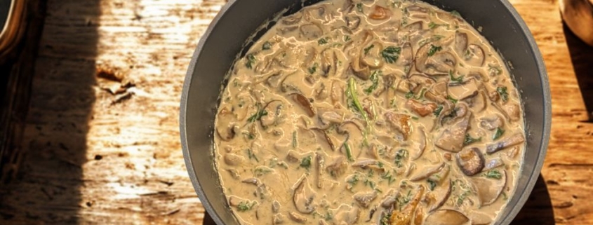 Brezenknödel mit Rahmschwammerl, Pilze, Pilzpfanne, Brezel, Knödel