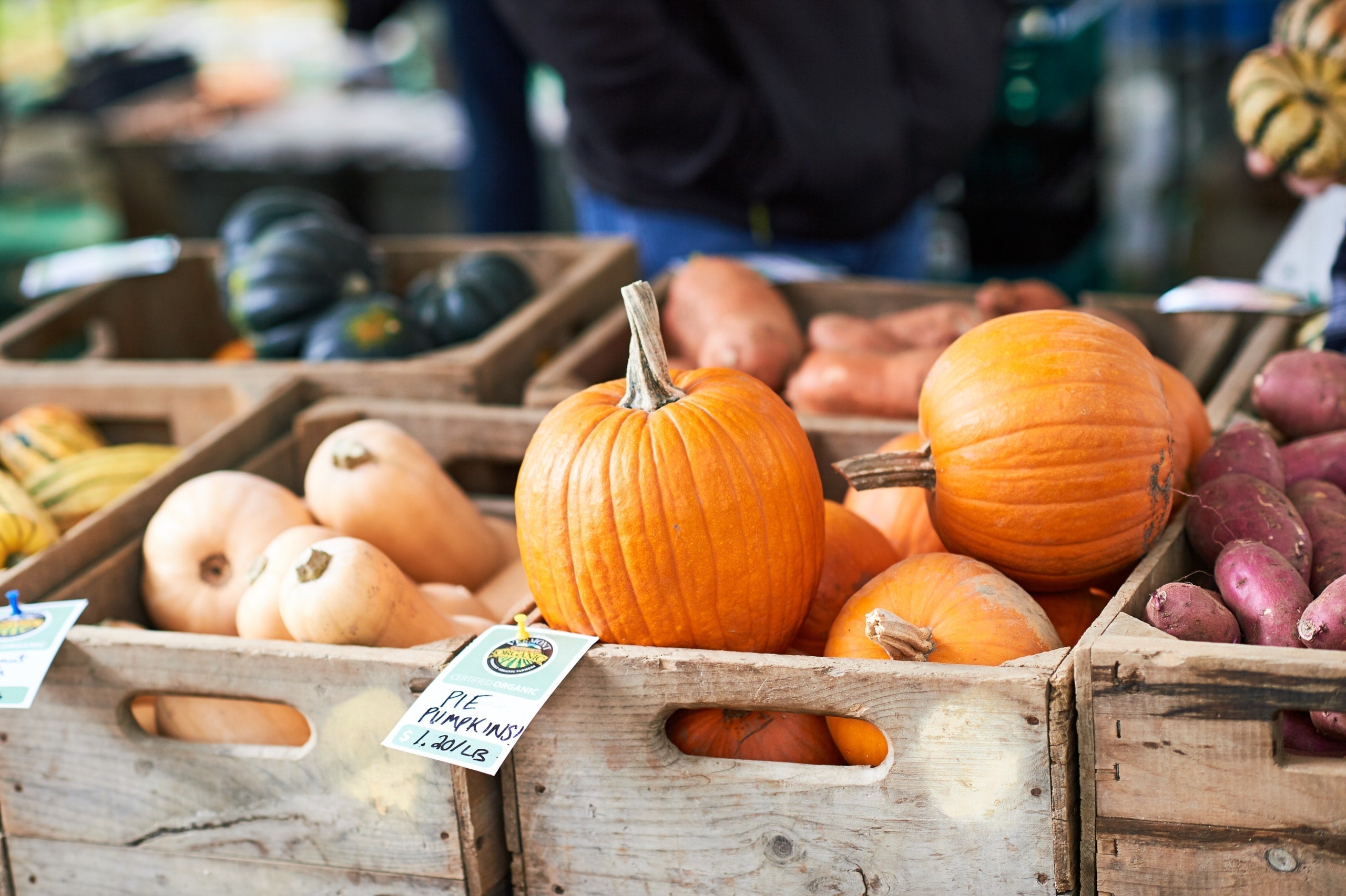 Diese Lebensmittel haben Saison im Oktober