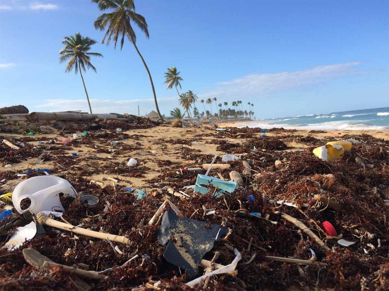 media/image/Plastik-muell-Strand-Gundelpfannen.jpg